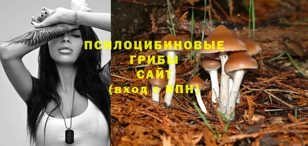 ГАЛЛЮЦИНОГЕННЫЕ ГРИБЫ Абаза