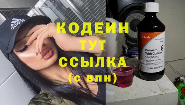 ГАЛЛЮЦИНОГЕННЫЕ ГРИБЫ Абаза